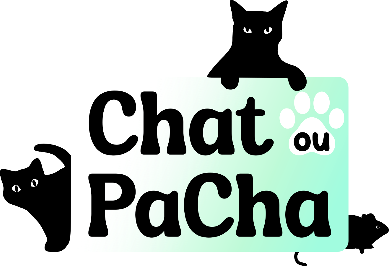 Logo Chat ou PaCha